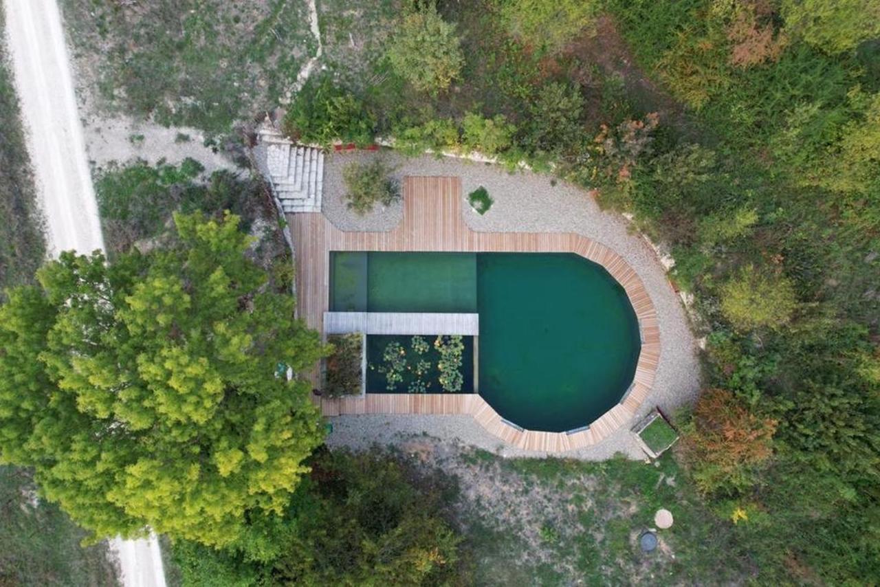 Maison Terre Les Cabanes De Fallot - Sauna Bain-Froid Piscine Naturelle L'isle-Bouzon Zewnętrze zdjęcie
