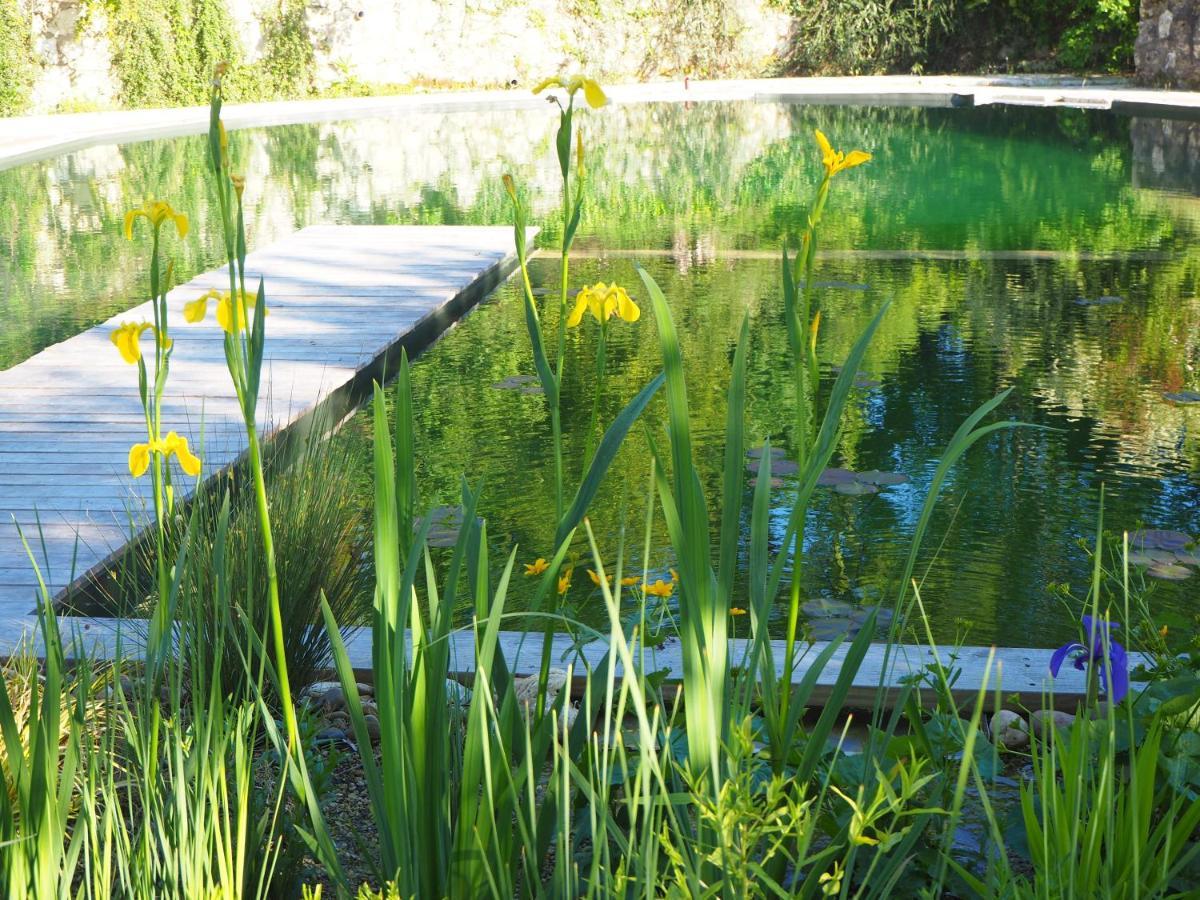 Maison Terre Les Cabanes De Fallot - Sauna Bain-Froid Piscine Naturelle L'isle-Bouzon Zewnętrze zdjęcie