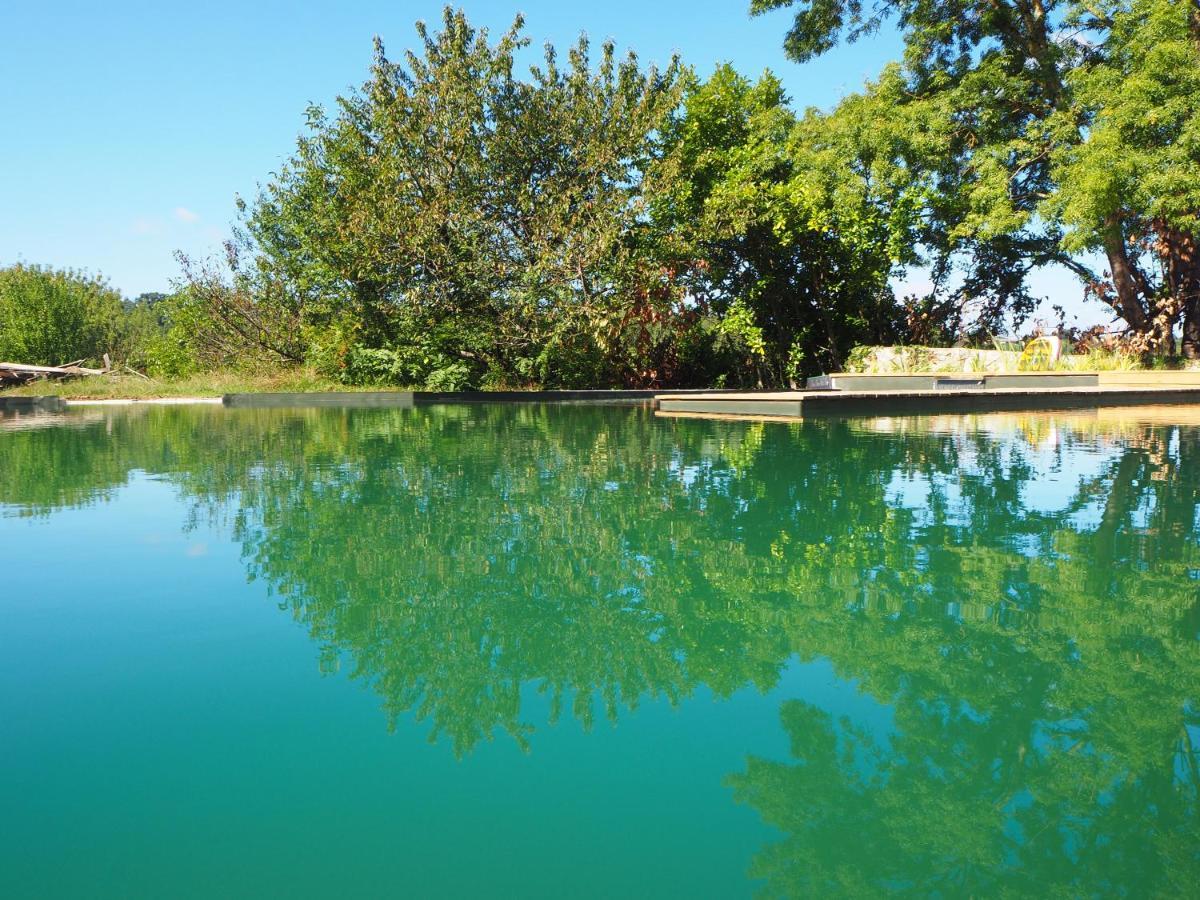 Maison Terre Les Cabanes De Fallot - Sauna Bain-Froid Piscine Naturelle L'isle-Bouzon Zewnętrze zdjęcie